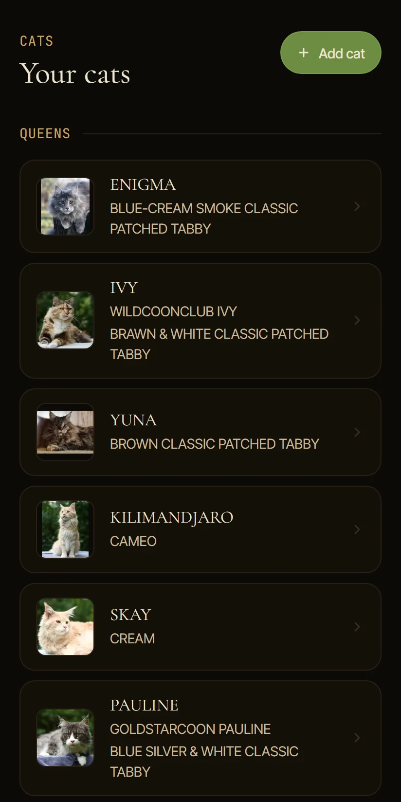 The Clowder app: a cattery’s cats, kept in one list, grouped by role.