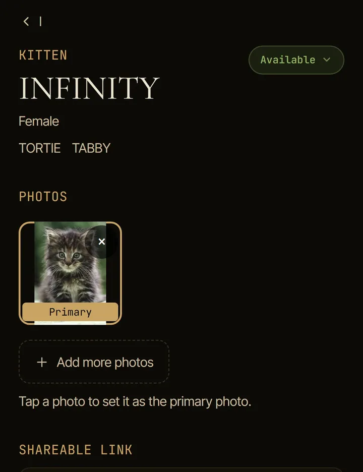 The Clowder app showing the kitten Infinity marked Available.