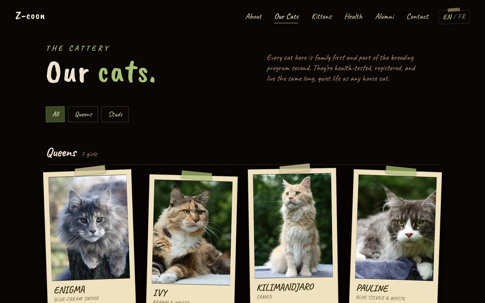 Z-COON’s public cats page, a grid of the cattery’s cats.