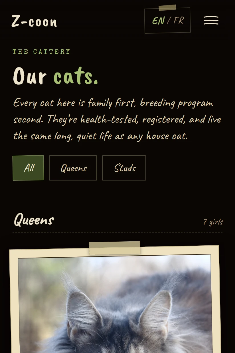 Z-COON’s public cats page, a grid of the cattery’s cats.