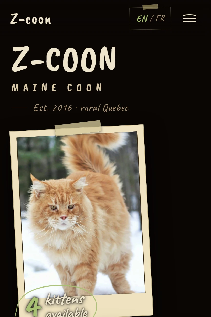 A cattery website built by Clowder: Z-COON’s public home page.